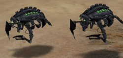 Builder scarab.jpg