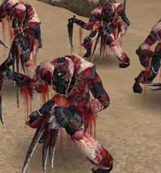 Flayed One 2.jpg