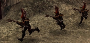 Warrior Squad.jpg